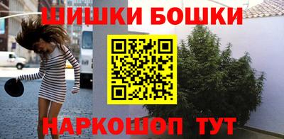 СК Будённовск