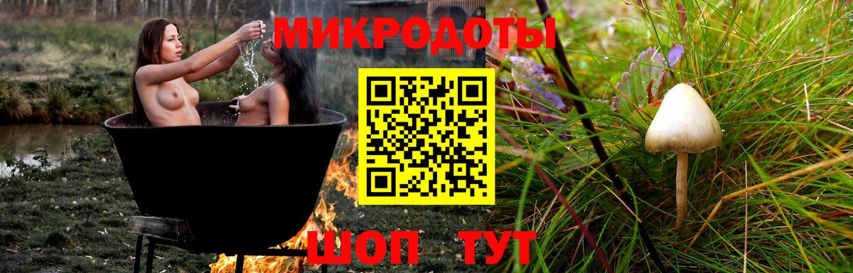 Галлюциногенные грибы Psilocybe  Псилоцибиновые грибы мухоморы  Саранск  Вход с VPN 