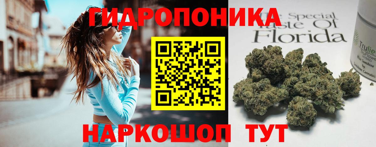 Бошки Шишки план Саранск